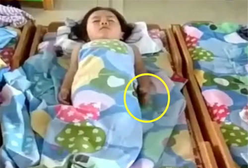 幼儿园教师拍打孩子额头被辞退：真相背后家长与学校的博弈