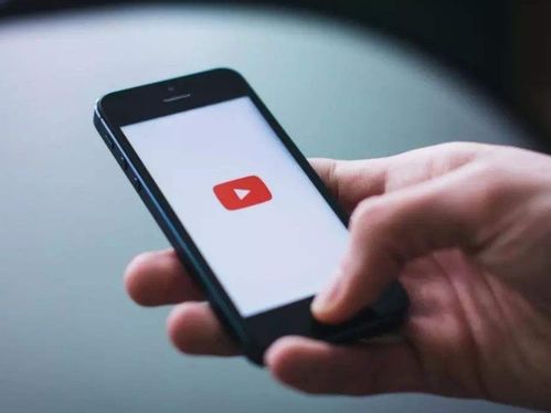 网友浏览社交媒体