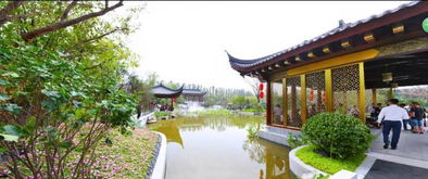 四座四合院、七栋别墅，谁建了潮汕天价违建？