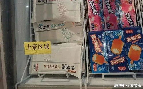 钟薛高雪糕包装和实物展示