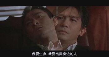 心理散文 第一季 第三十五天《无间道的心理》