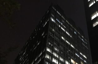 深夜办公室里灯火通明，几名员工仍在加班