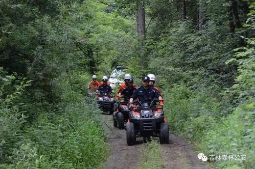 户外救援人员在山林中搜寻