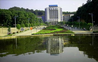 南京艺术学院教授突发心脏骤停不幸离世，年仅45岁！生命无常令人唏嘘