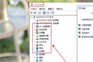 写作平台后台数据统计