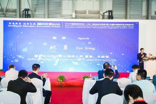 中国学者在国际论坛发言