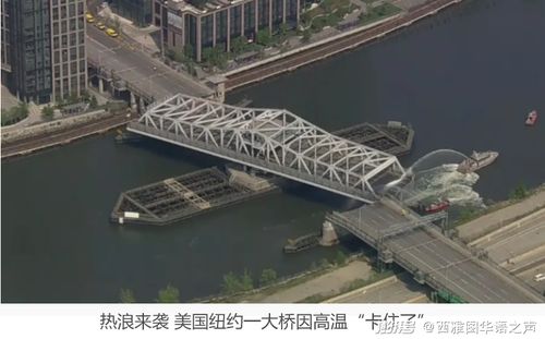 纽约大桥下紧急救援画面