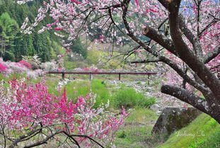 人生何处不相逢 ‖ 巧遇阿树和他的“公路咖啡”