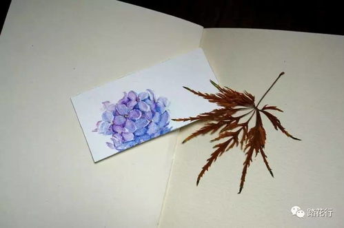 水彩在纸上自然晕染的效果