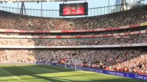 水晶宫球迷欢呼