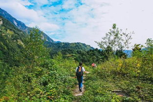 驴友溺亡家属索赔引争议，责任到底谁来担？