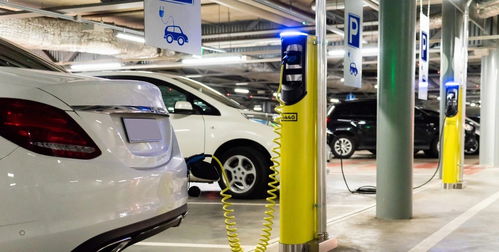 国产新能源汽车迎来黄金时代，公务用车采购新规释放哪些信号？