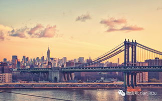 墨西哥海军帆船纽约撞桥事件：277人惊魂一刻背后的真相