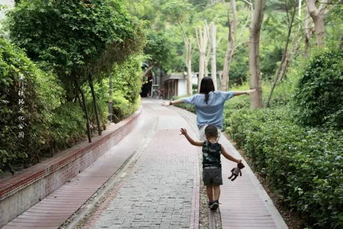 夫妻牵手走在公园小路上