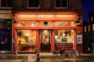 周末咖啡馆写作场景