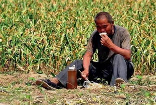 重视默默无声的播种期，我用三年时间等一朵花开