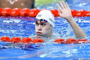 直击全国游泳冠军赛现场：热血与激情碰撞，我亲历的精彩瞬间