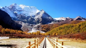 成都到新疆售价5万起专列卖爆，我亲身体验后才发现真相