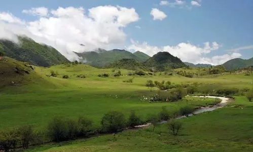 黑竹沟高山草甸与溪流交汇处