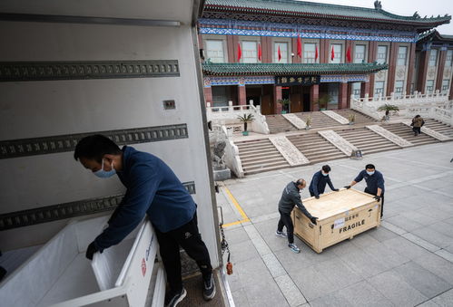 AI生成的文物动态展示图