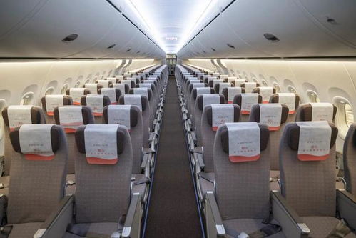 机长上厕所，副机长晕倒？德国客机“无人驾驶”飞行10分钟背后真相曝光！