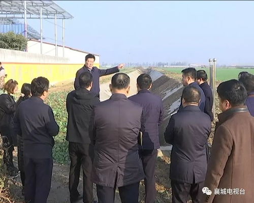 县委书记实地考察农田基建项目