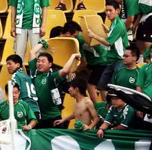 浙江广厦球迷掌掴北京队工作人员，CBA赛场为何频现暴力？