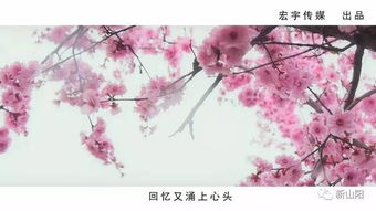 简书热搜｜“桃李春风一杯酒，江湖夜雨十年灯”：那些年，我们错过的时光