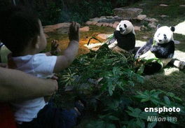 乐乐一家在公园散步