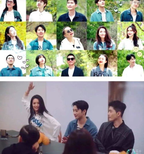 桃花坞嘉宾们互动聊天画面