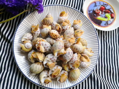 烹饪好的非洲巨螺菜肴