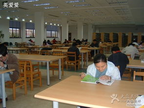 复旦大学图书馆内学生认真读书