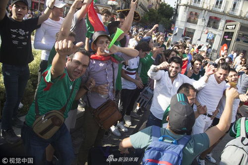 球迷现场欢呼庆祝胜利