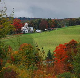 8岁男孩登山失踪14天仍无音讯，搜救仍在继续
