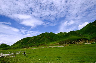 【生活小百科】四川避暑地整理3｜夏日清凉之旅，这些地方你一定不能错过！