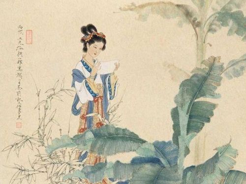 黛玉教我学写诗，原来诗词不只是风花雪月