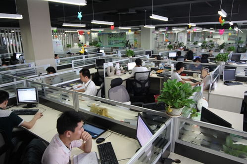 VOA工作人员在办公室工作