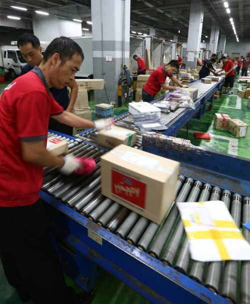 一名快递员正在分拣包裹