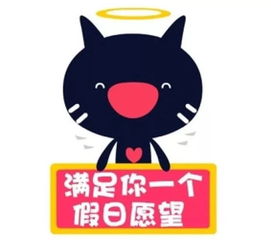 福宝在运输箱中休息