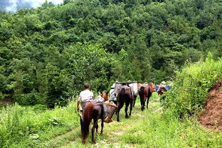 驴友溺亡家属索赔86万引热议，同行者该不该负责？