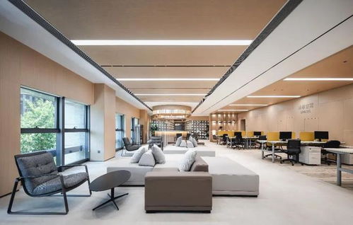 DeepSeek办公室一角，年轻人正在热烈讨论技术方案