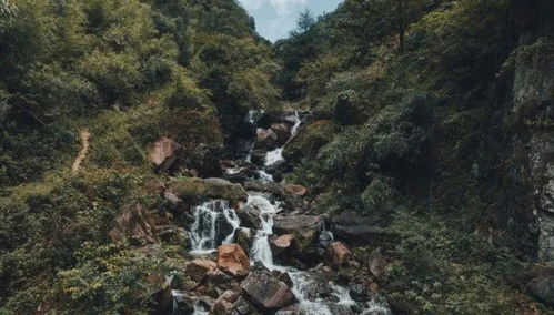 驴友在溪流中行走的背影