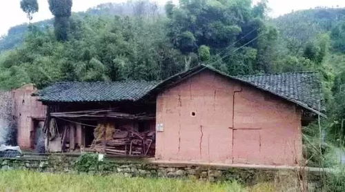 父母不同的经历，成就了我这一生的底色