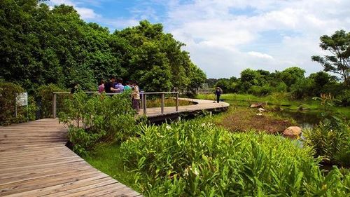 深圳莲花山公园再现眼镜蛇！市民惊魂一刻，夏季防蛇攻略速看