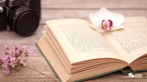 第11章能断金刚：我与财富的觉醒之旅