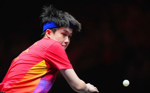 王楚钦与王皓在训练中交流