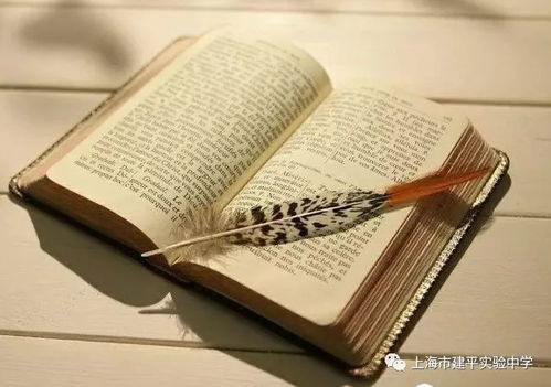 女性在温暖灯光下认真写作