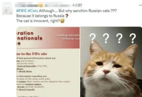 美团外卖请你喝100万杯喜茶？背后真相竟出乎意料！