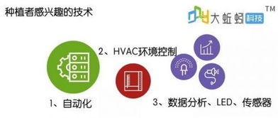 初创公司使用Lovart制作品牌宣传材料