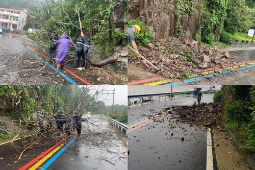 风暴过后街道上电线杆倒塌